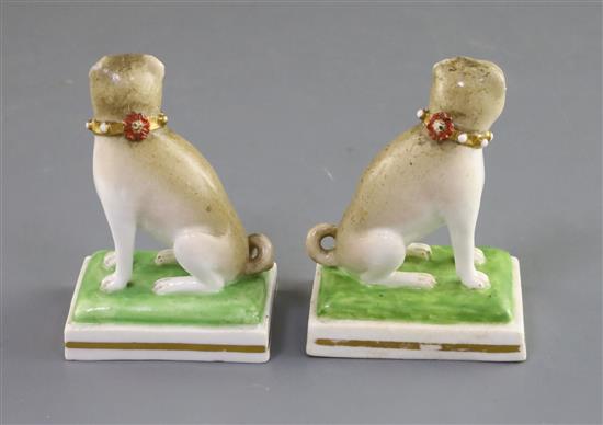 A pair of Derby porcelain figures of seated pug dogs, c.1830, modelled by Edward Keys, H. 8cm